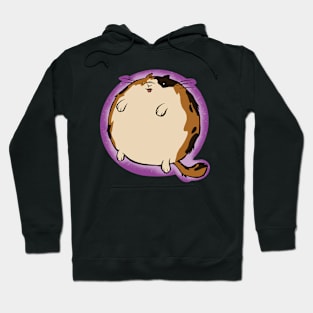 Calico Sphere Cat Hoodie